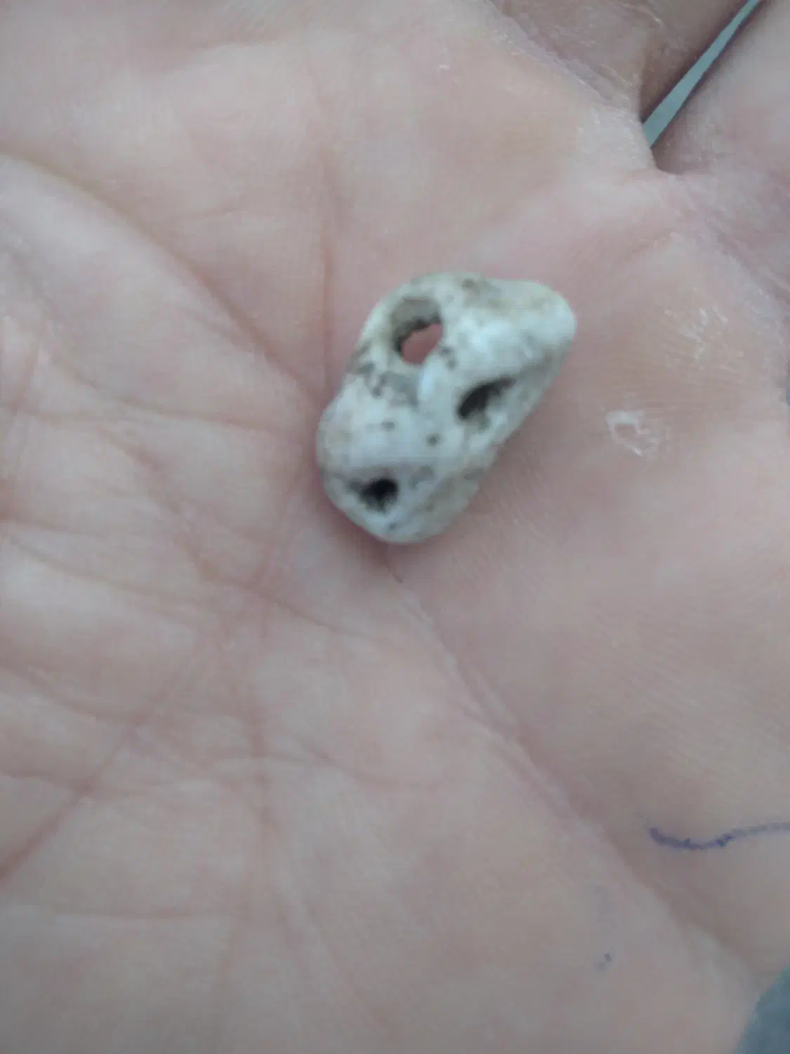 مهره گبری|کلکسیون اشیاء عتیقه|کیش, |دیوار