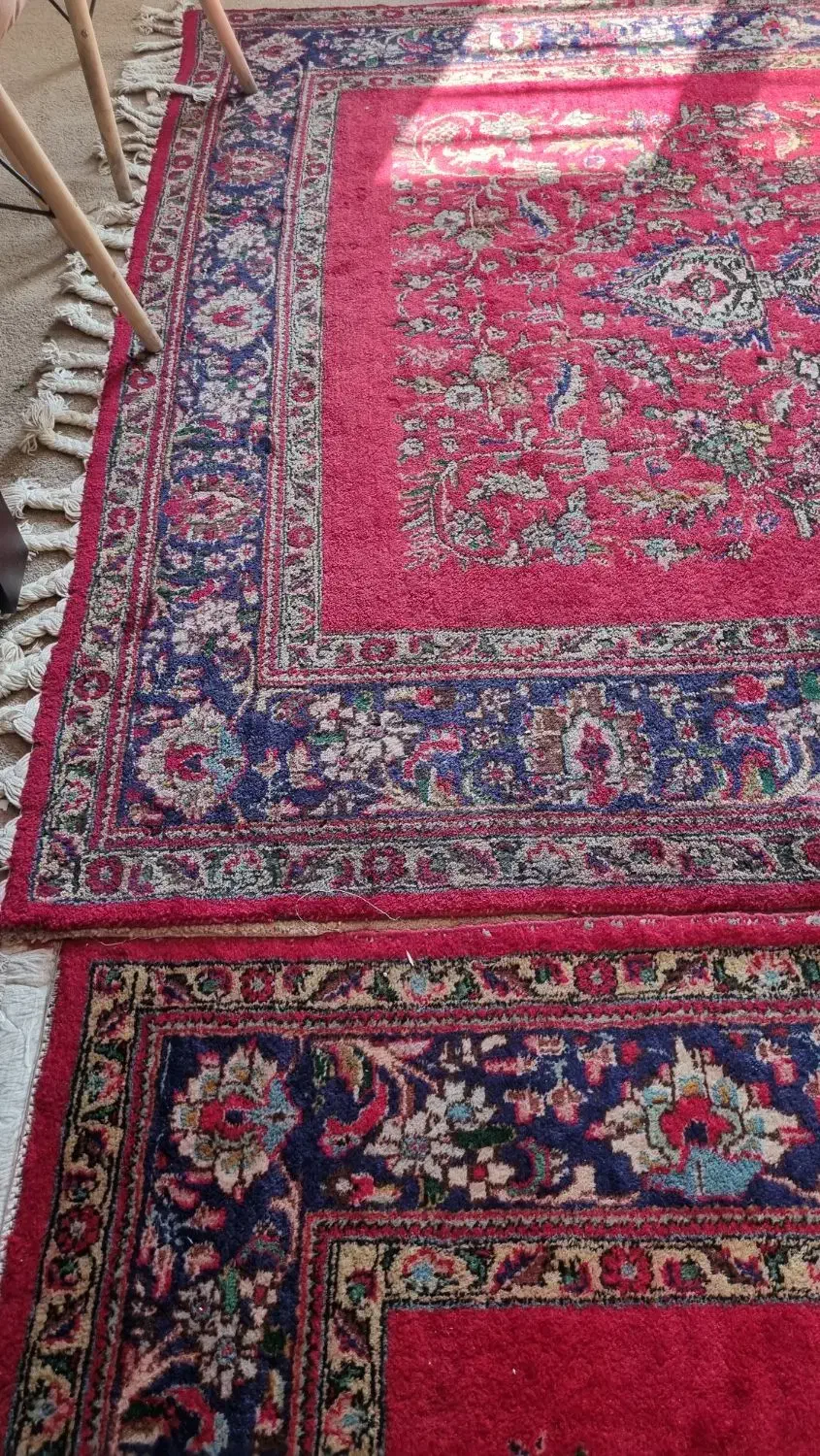 فروش فرش دست بافت|فرش|بوشهر, |دیوار