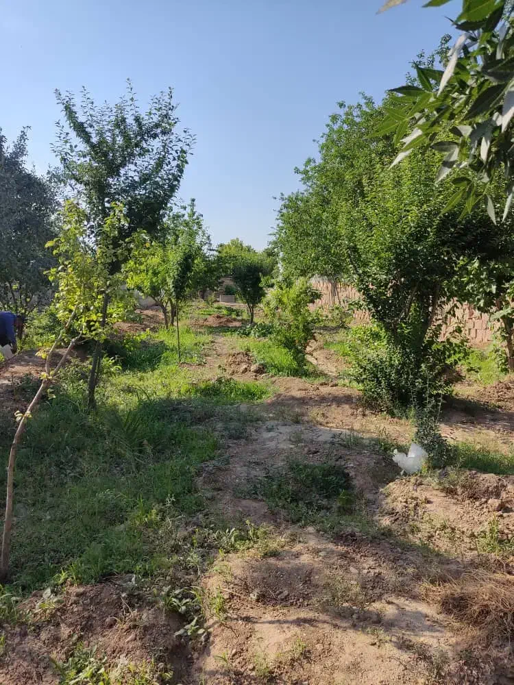 باغ|فروش خانه و ویلا|قرچک, صالح آباد|دیوار