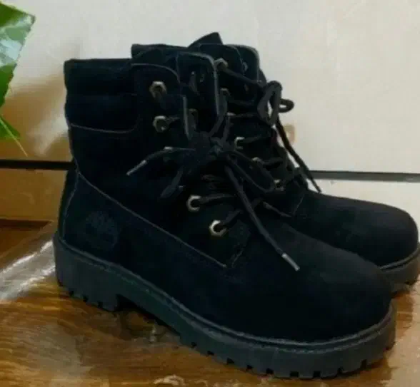 پوتین کاملا نو جعبه هم داره|کیف، کفش، کمربند|قزوین, |دیوار