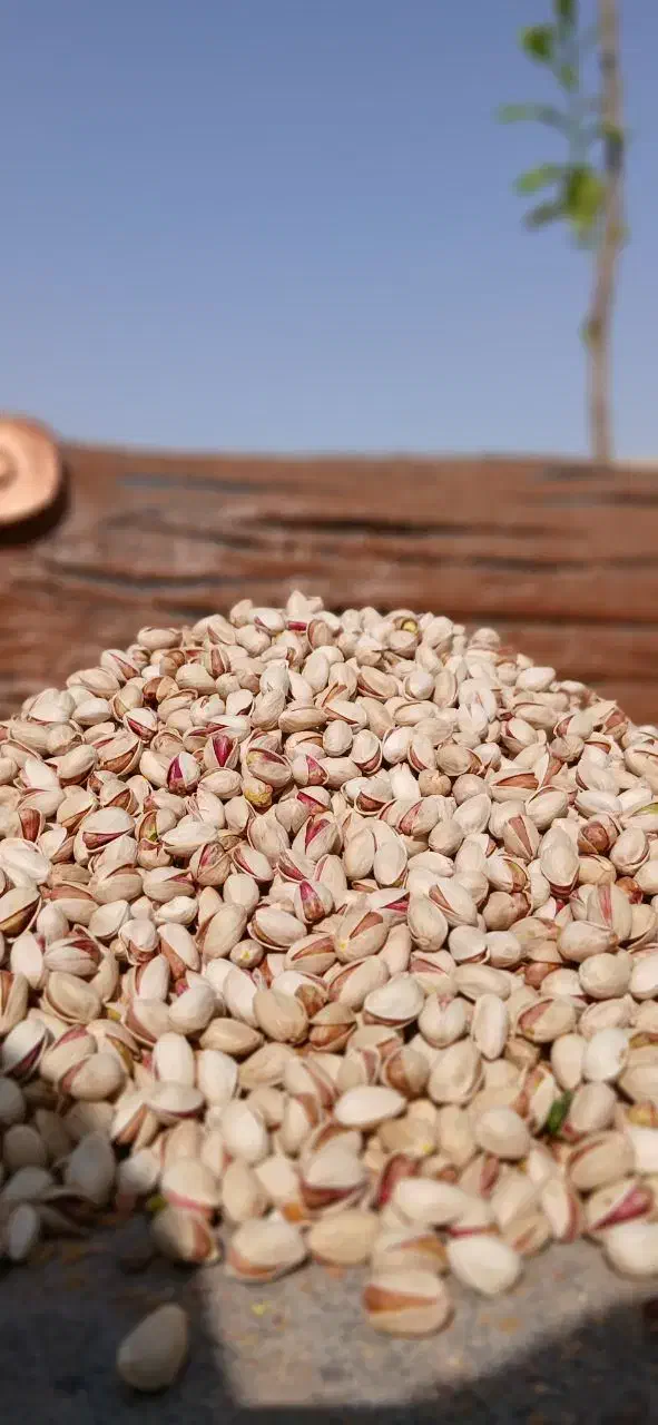 پسته امسالی و تازه|خوردنی و آشامیدنی|شریف‌آباد, |دیوار