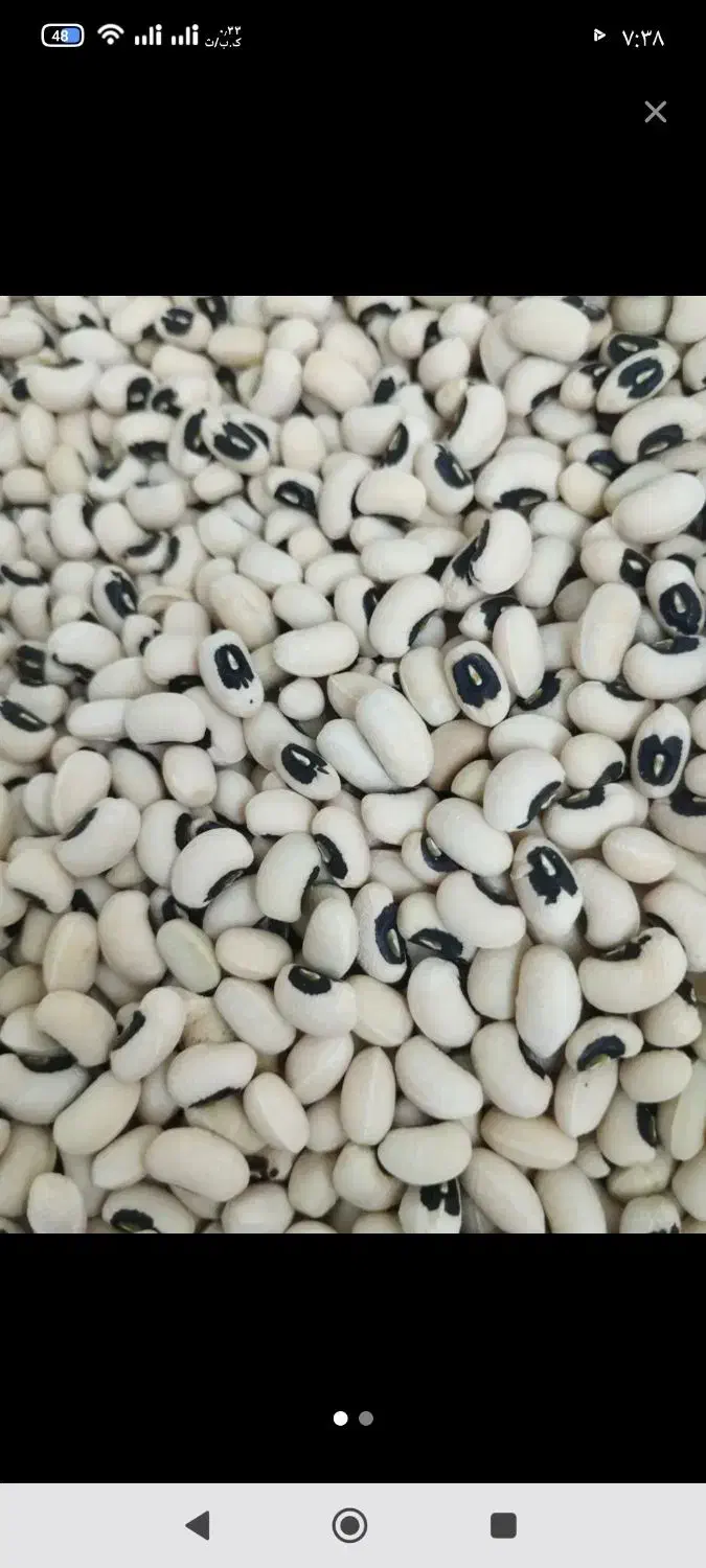 لوبیا چشم بلبلی وماشی|خوردنی و آشامیدنی|دره شهر, |دیوار