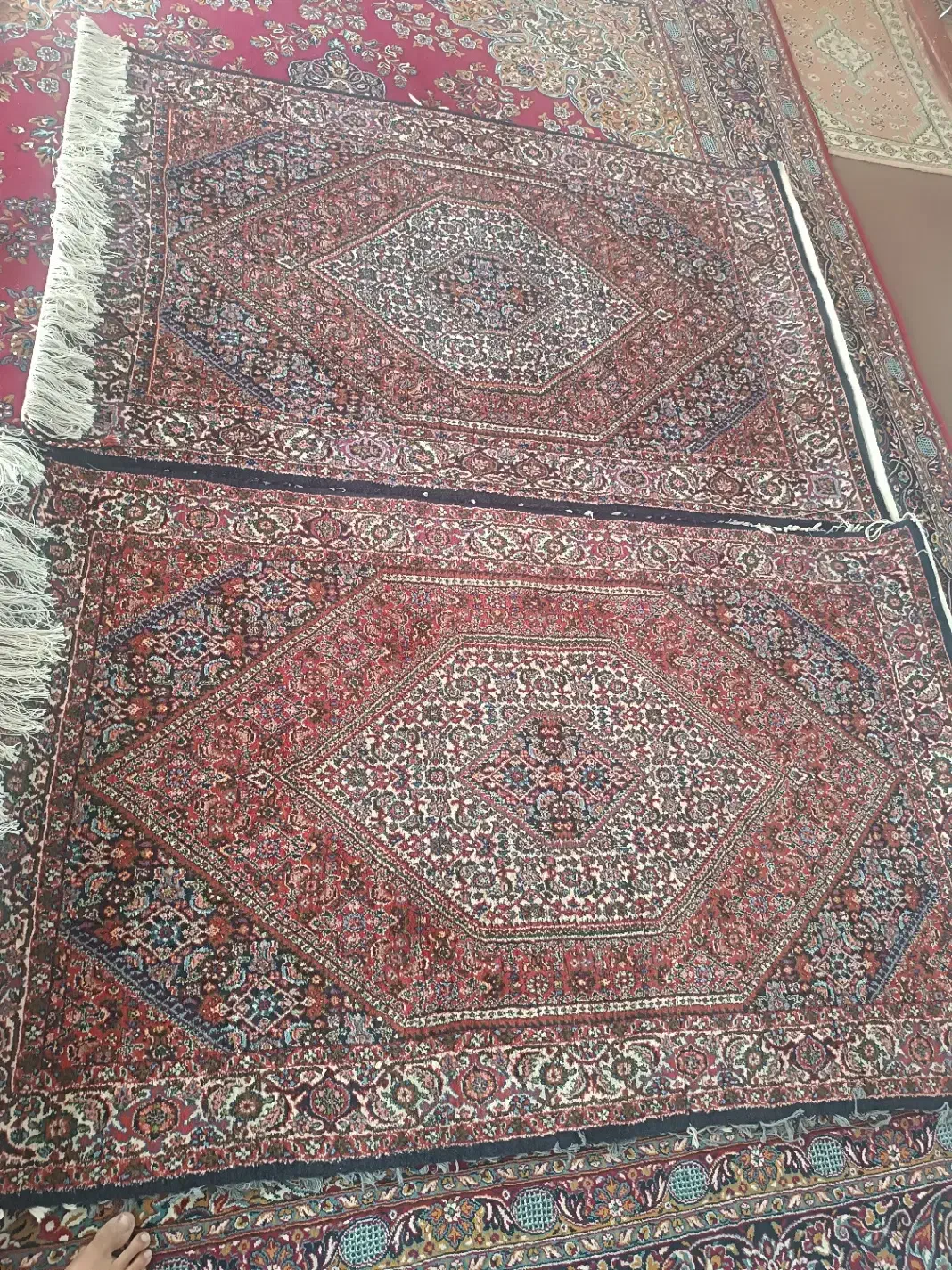 فرش دستباف زرنیم هست|فرش|زنجان, |دیوار