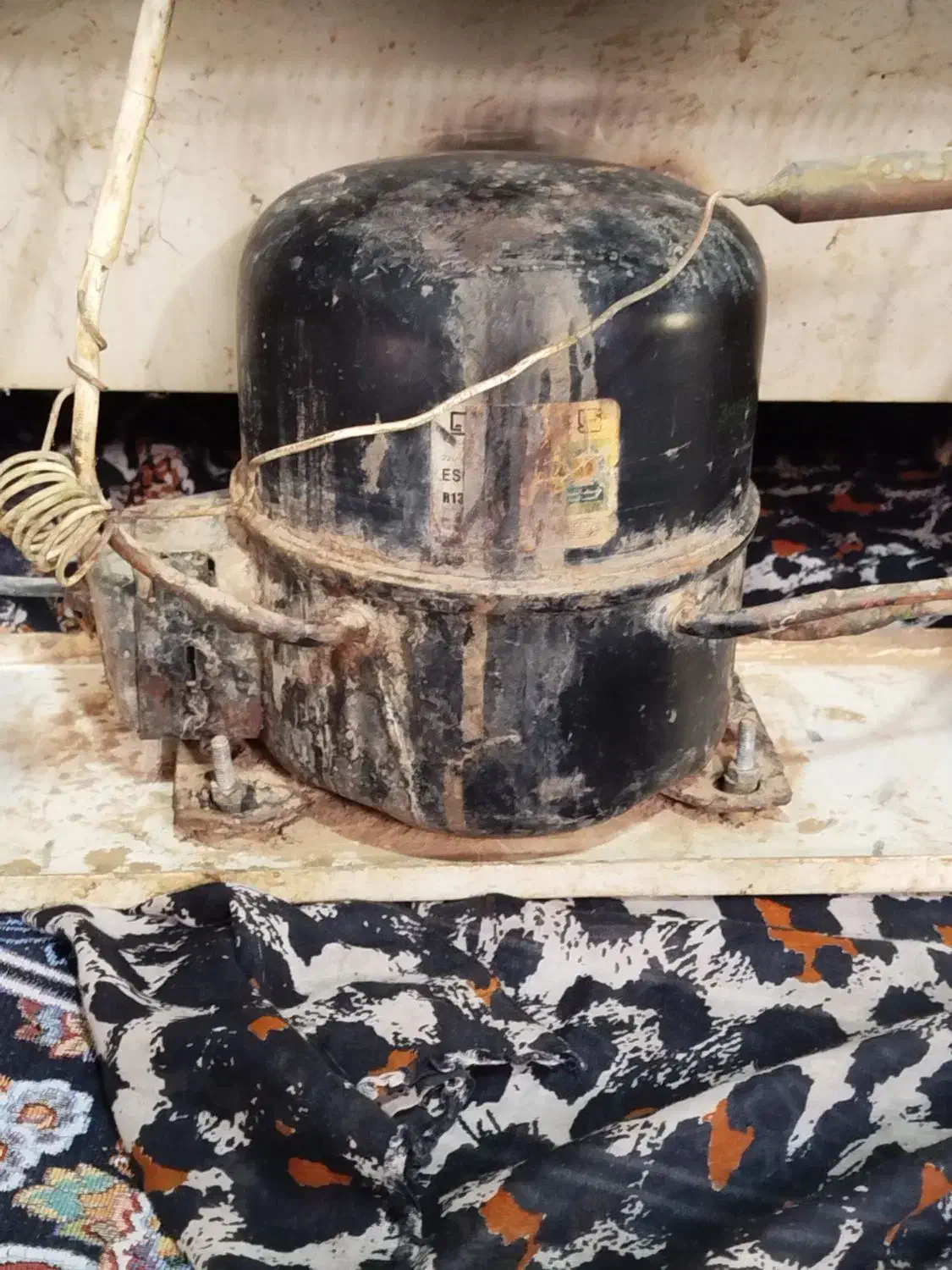 یخچال|یخچال و فریزر|زابل, |دیوار