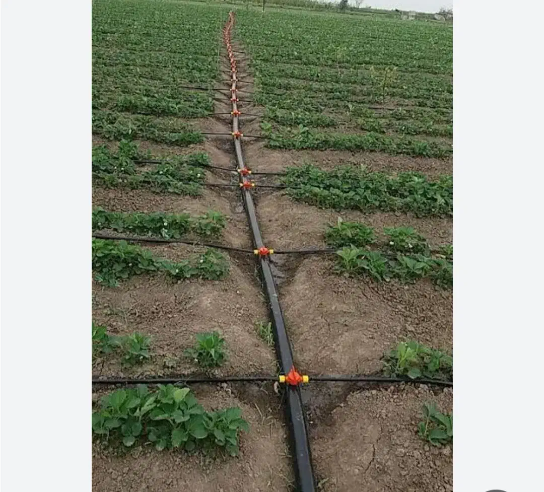 لوله اب|مصالح و تجهیزات ساختمان|باغ ملک, |دیوار