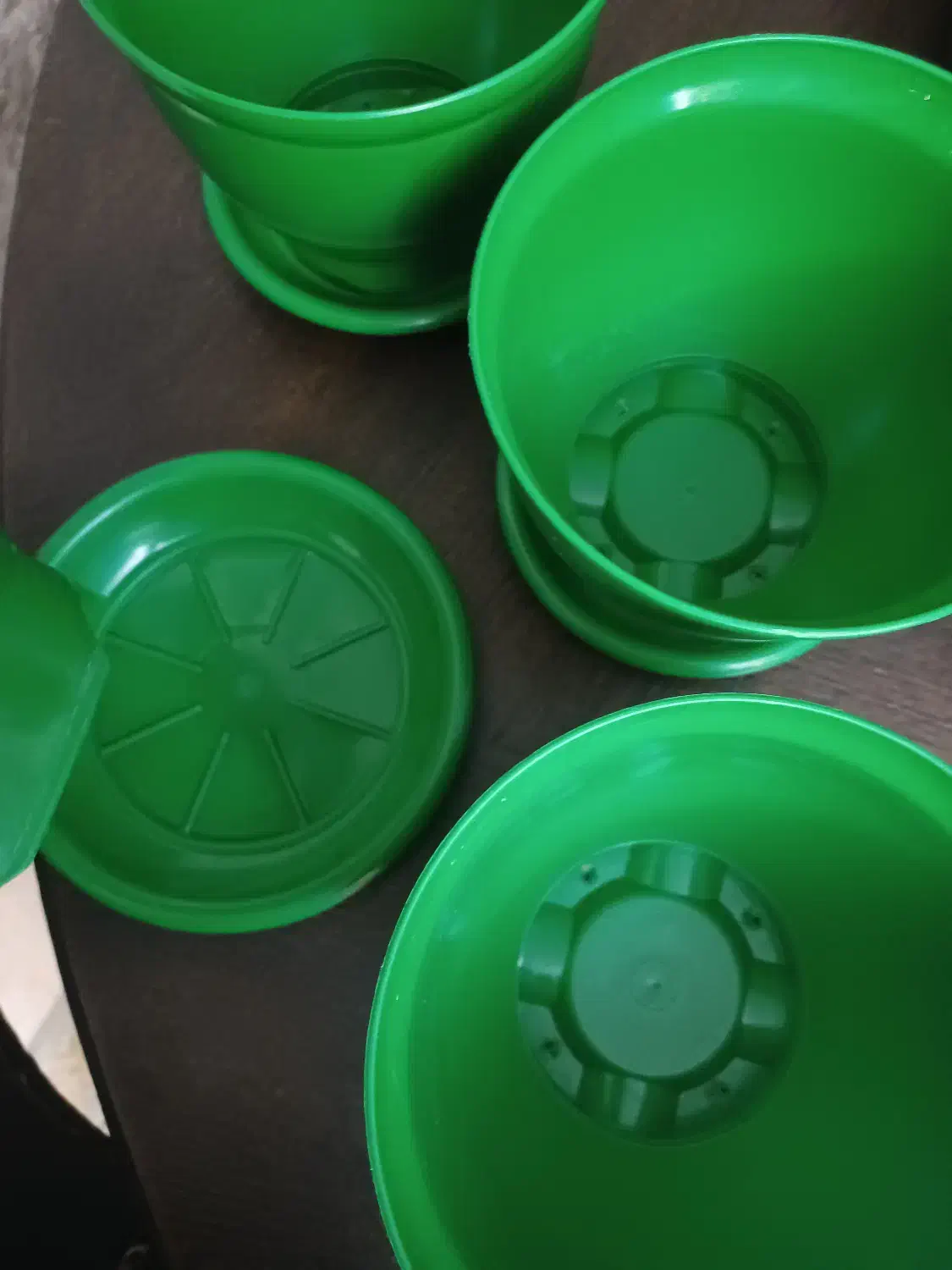 گلدان های سبز|گل و گیاه طبیعی|تهران, مهرآباد جنوبی|دیوار