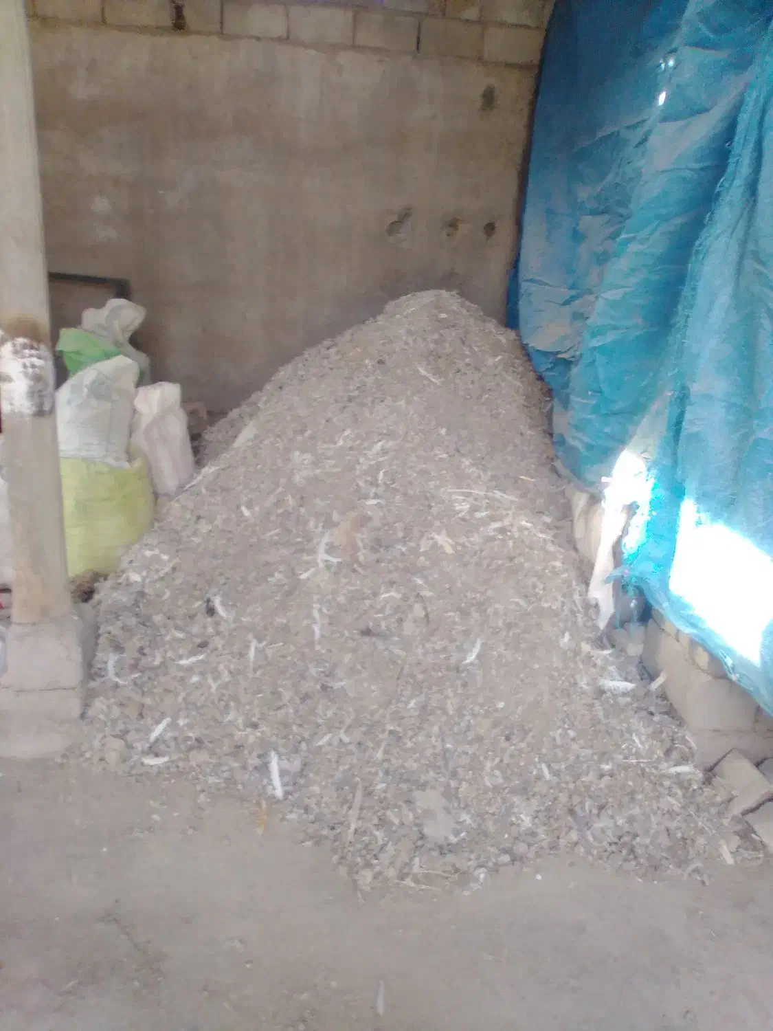 کود کفتر|گل و گیاه طبیعی|میاندوآب, |دیوار