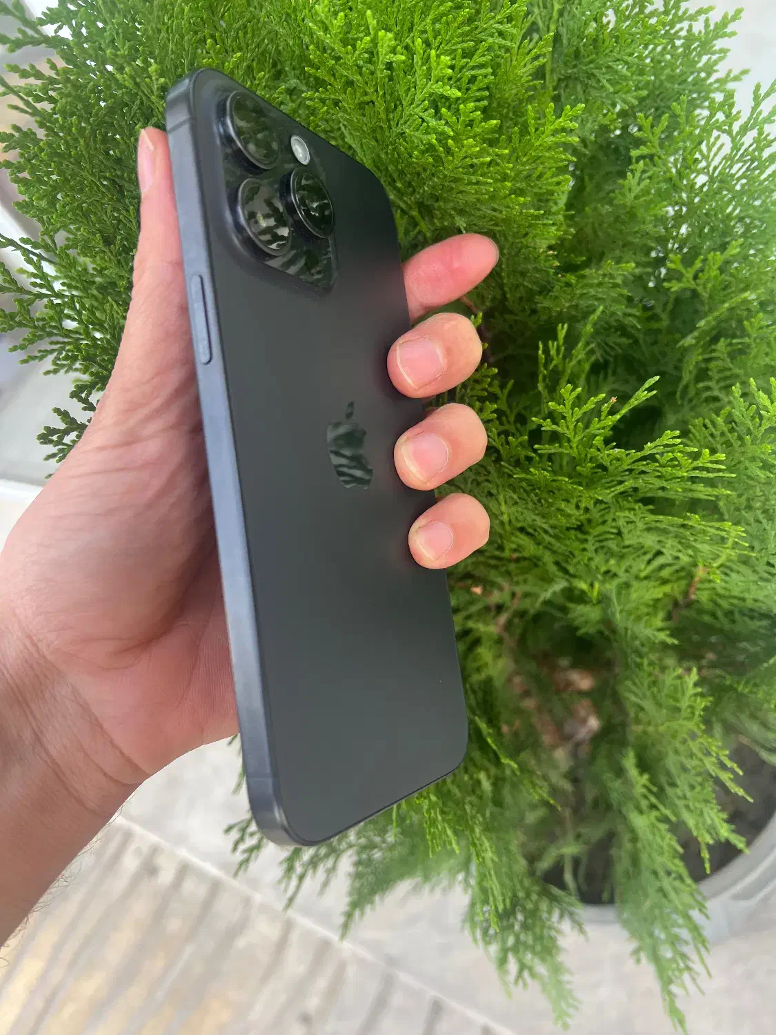 ۱۵مکس ۲۵۶|موبایل|گرگان, |دیوار