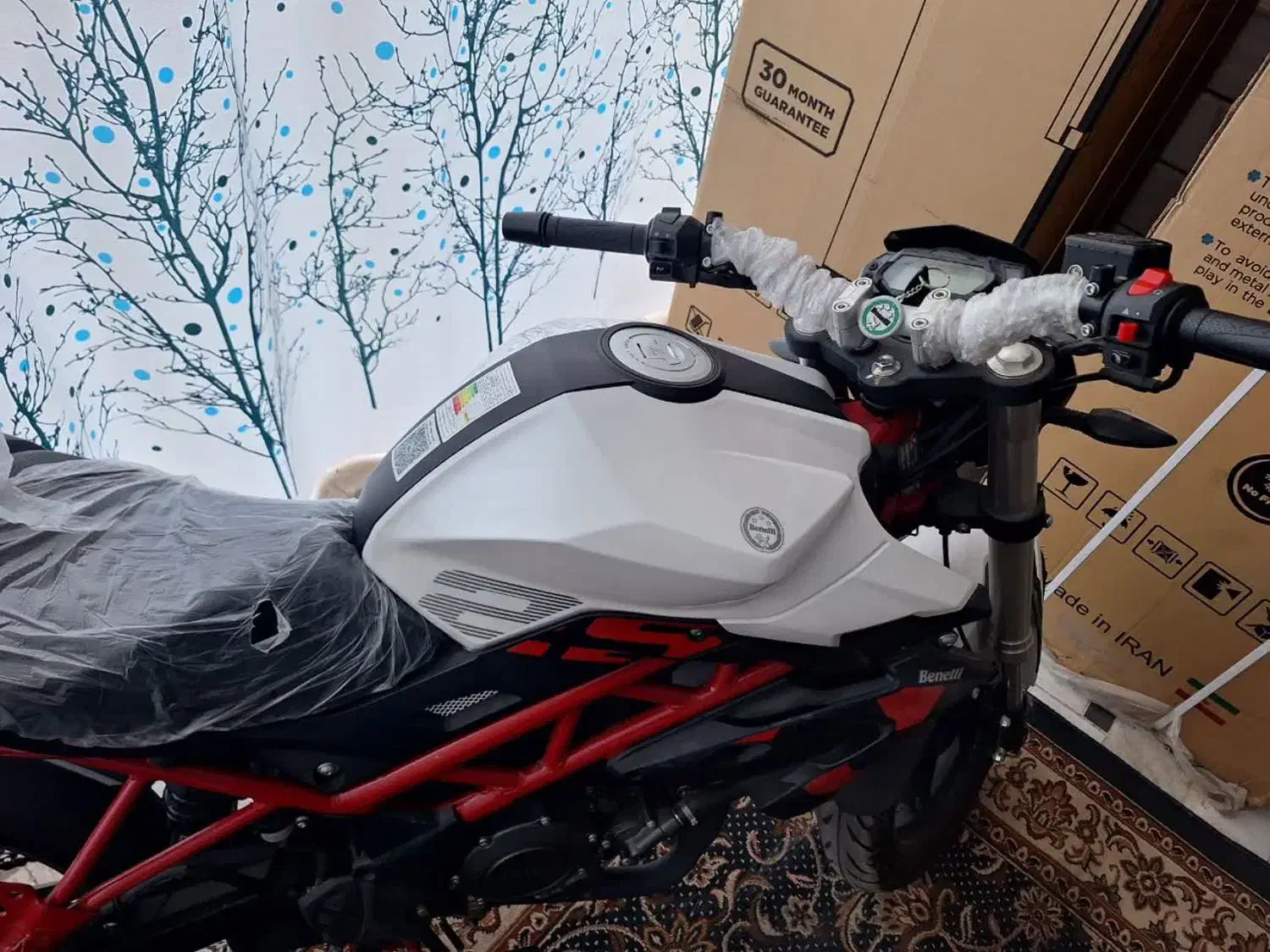 موتور سیکلت بنلی 250cc|موتورسیکلت|کاشان, راوند|دیوار