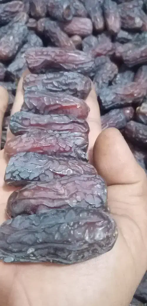 فروش  خرما از باغدار بدون واسطه|عمده‌فروشی|تهران, تختی|دیوار