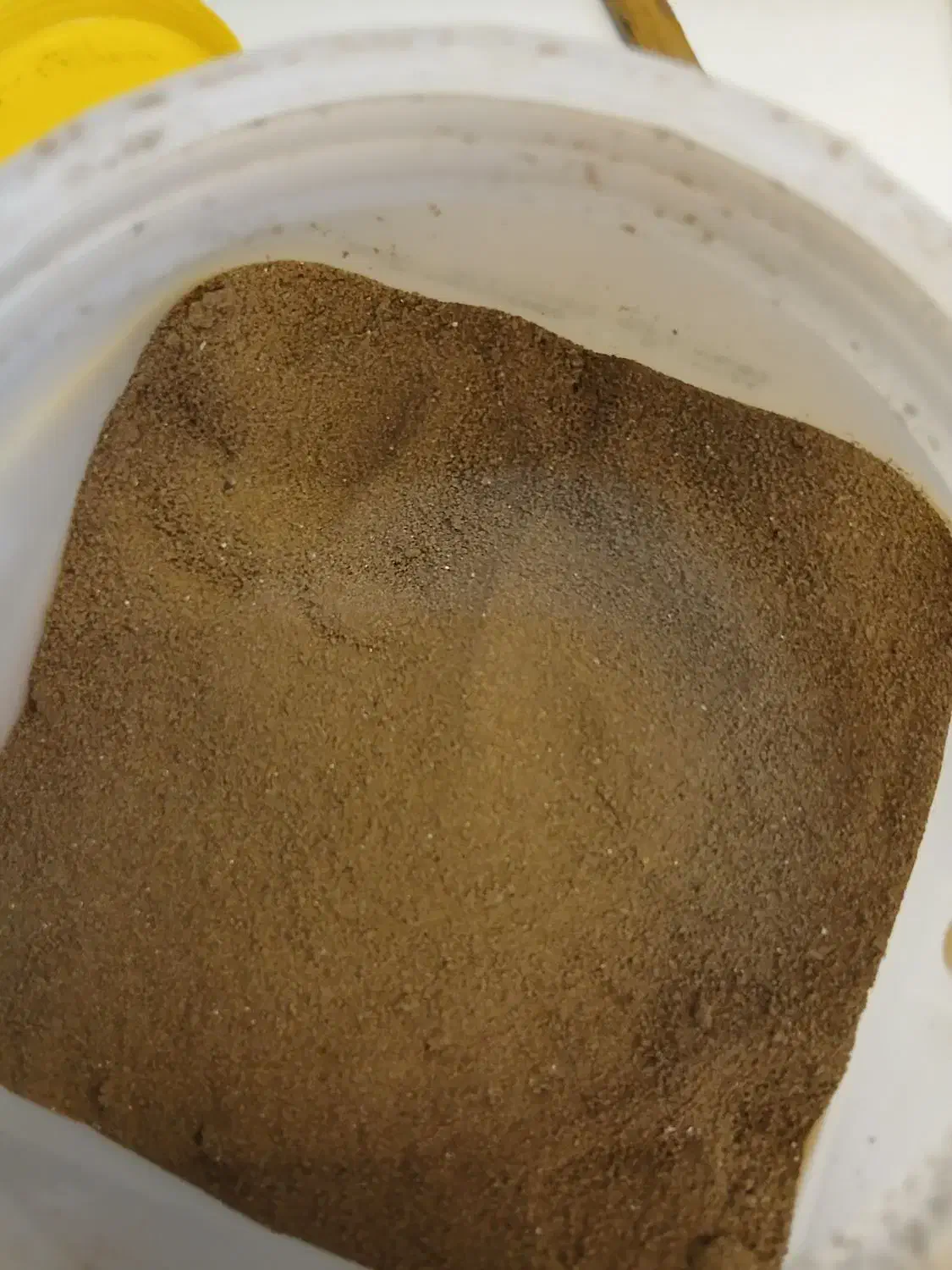 سیست خشک آرتمیا|ماهی|فردیس, ثابتی|دیوار