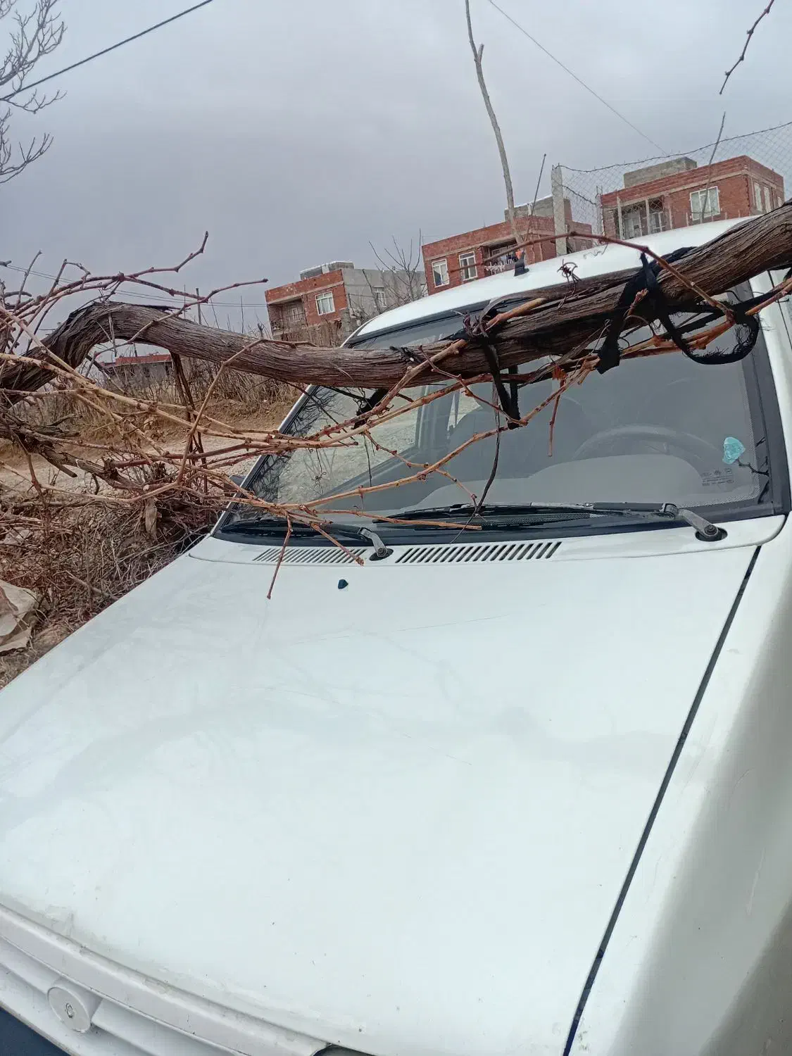 ماشین|خودرو سواری و وانت|بجنورد, |دیوار