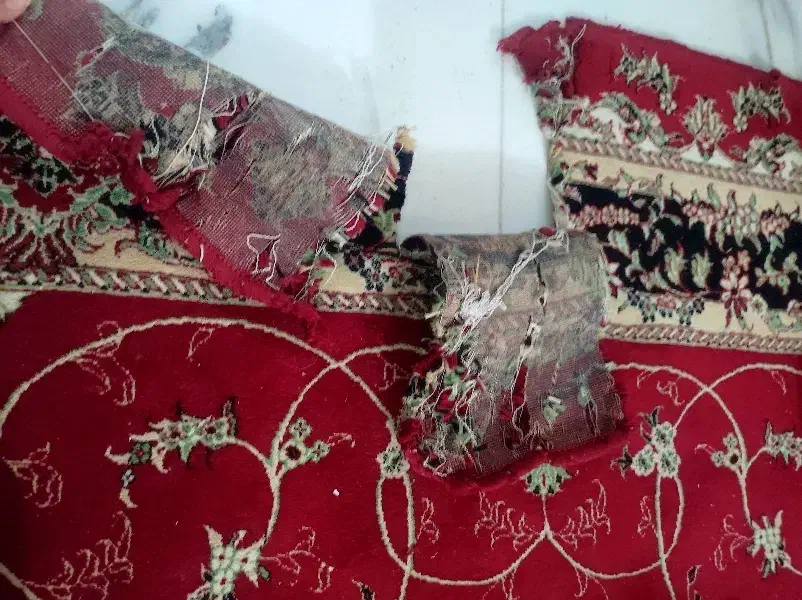 فرش ۹ و ۶ متری|فرش|قرچک, مهدیه|دیوار