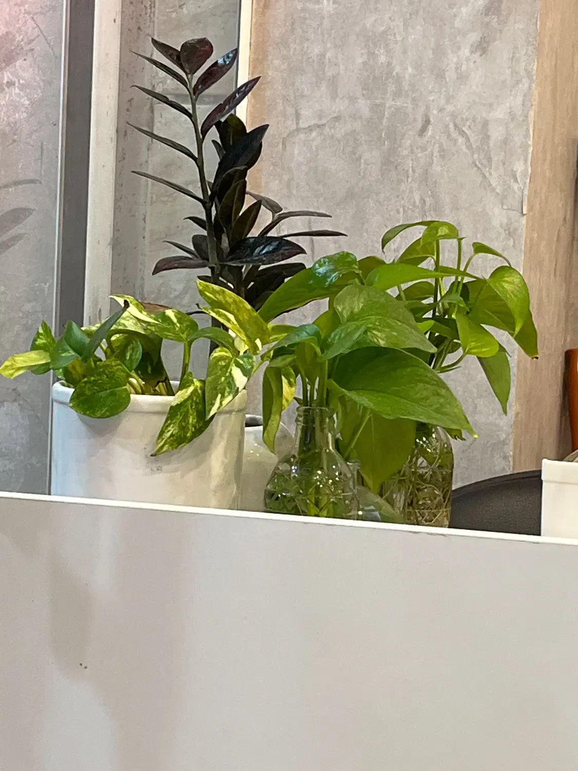 دوخواب باهنر ۱۱۰ متر|اجارهٔ آپارتمان|بوشهر, |دیوار