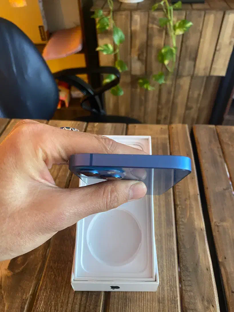 آیفون ۱۳ نرمال|موبایل|مشهد, فلسطین|دیوار