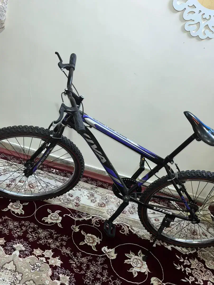 دوچرخه ساده نوی نو یکبار هم سوار نشده|دوچرخه، اسکیت، اسکوتر|ملارد, |دیوار