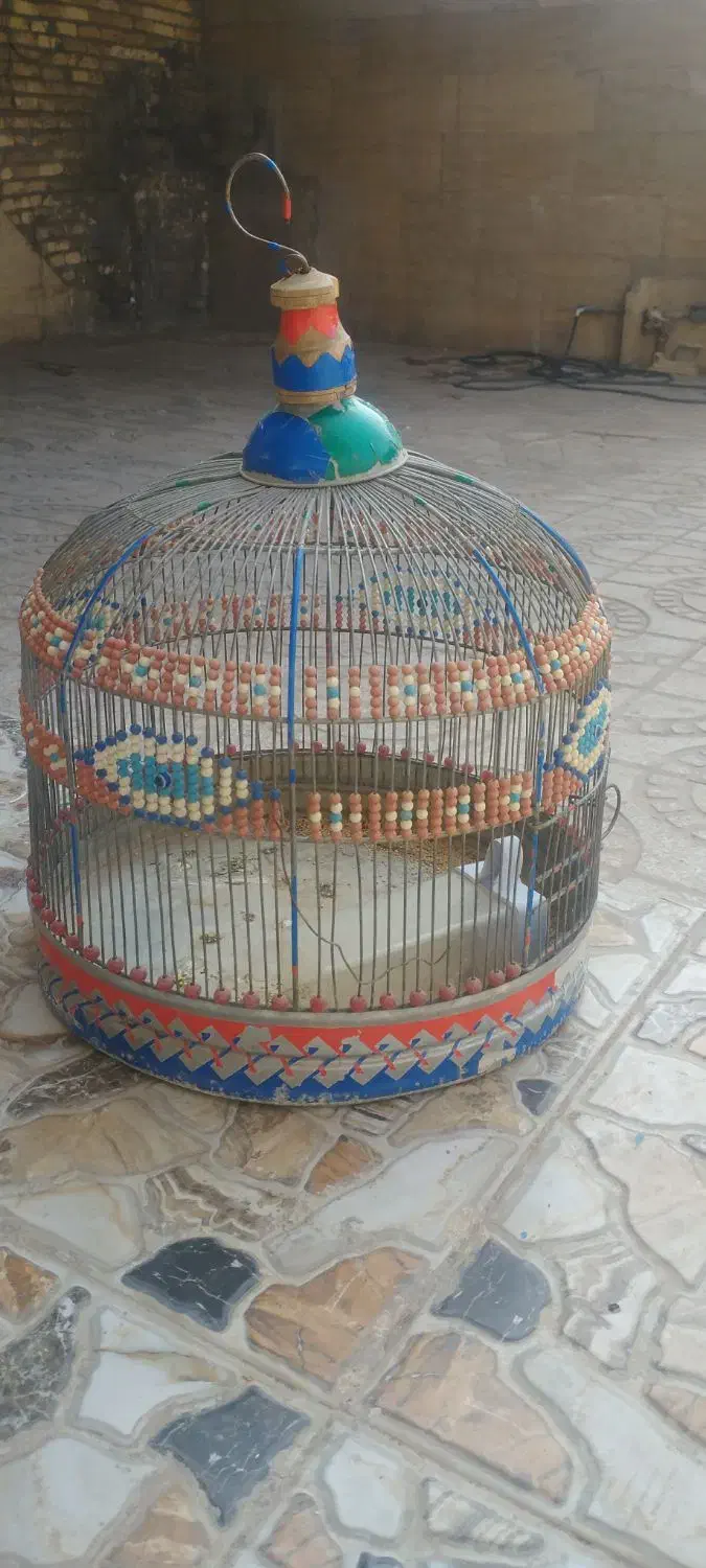 قفس|لوازم جانبی حیوانات|کوهدشت, |دیوار