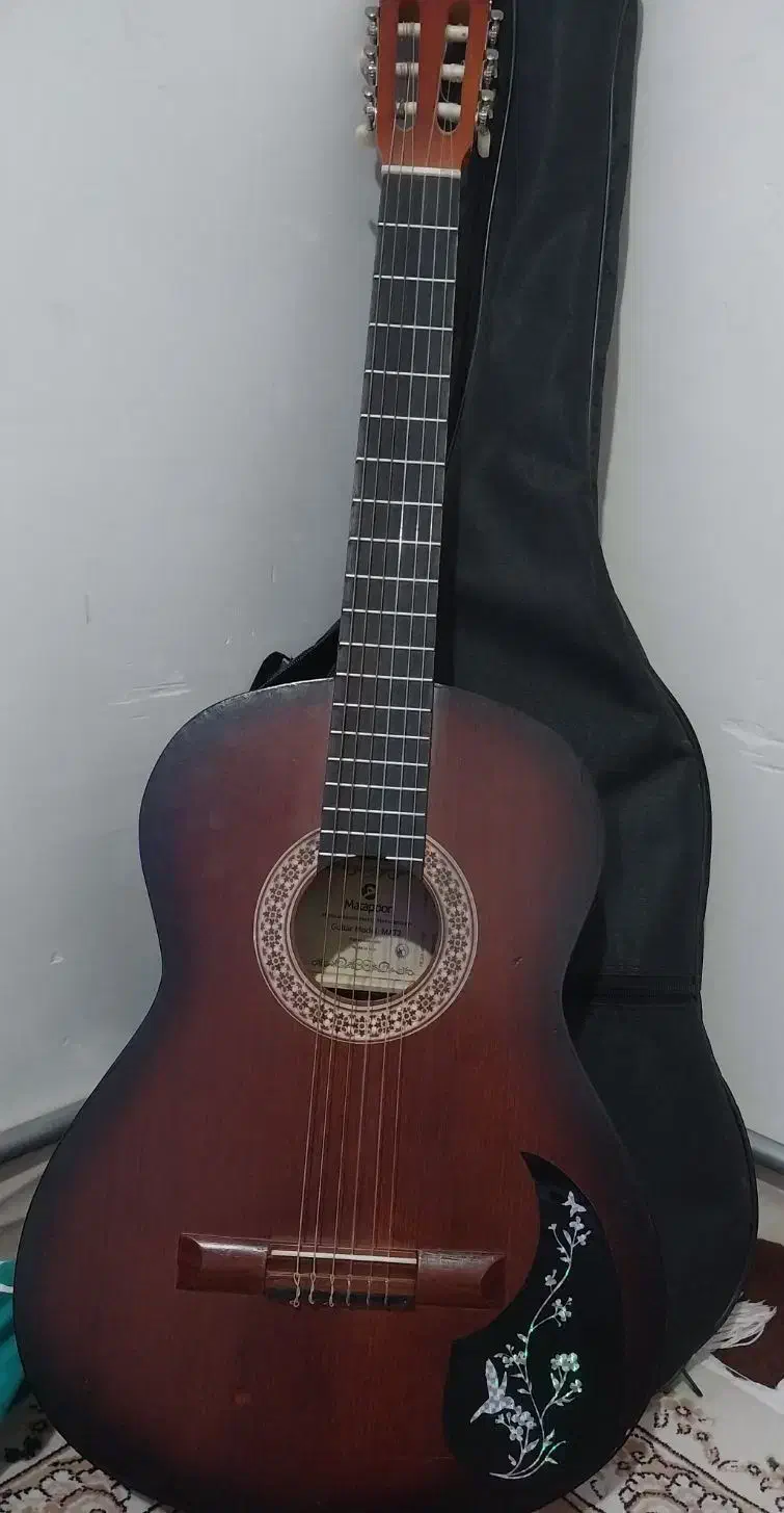 فروش گیتار متاپور|گیتار، بیس، امپلیفایر|پیرانشهر, |دیوار