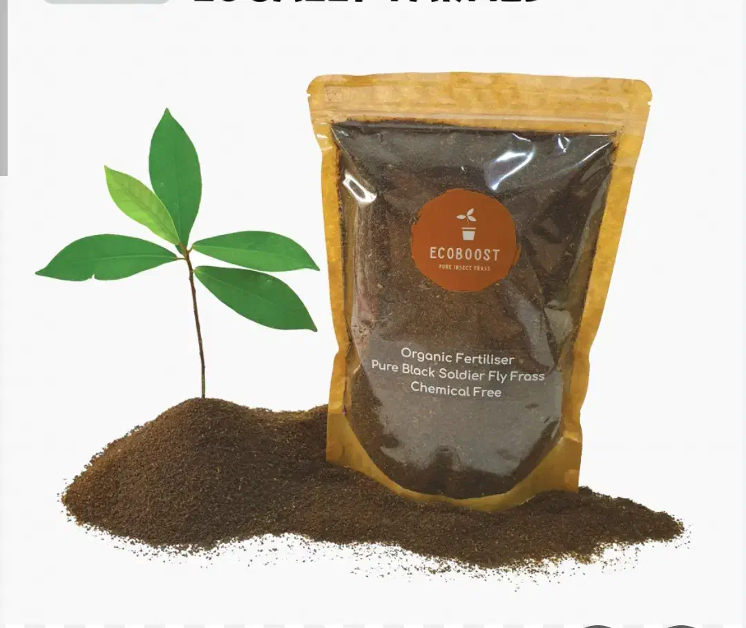 کود میلورم و کود مگس سرباز|خدمات باغبانی و درختکاری|گلمکان, |دیوار