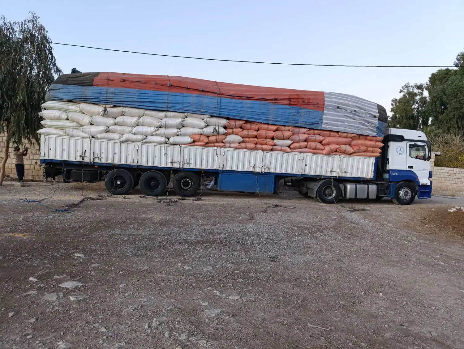 کارگرکاه|خدمات باغبانی و درختکاری|اسلام‌‌آباد غرب, |دیوار