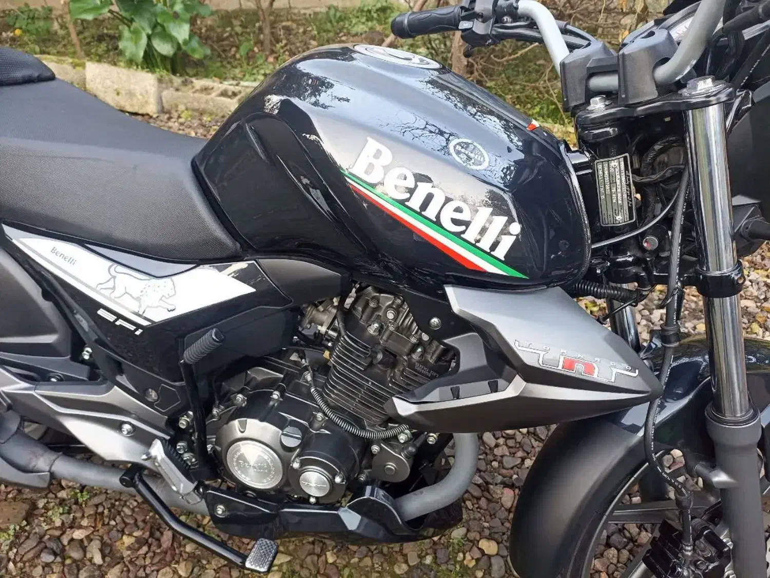 بنلی ۱۵۰  مدل ۱۴۰۲|موتورسیکلت|شلمان, |دیوار