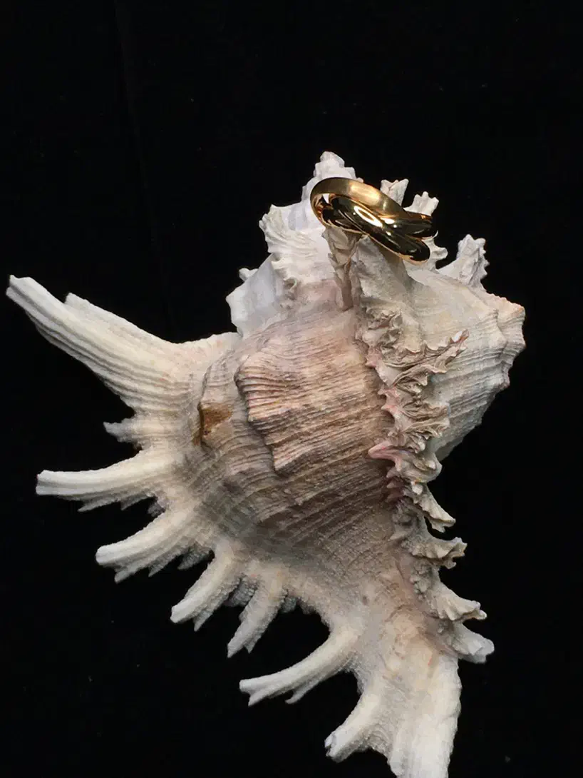 بدلیجات|بدلیجات|بندر انزلی, خوش پیک|دیوار