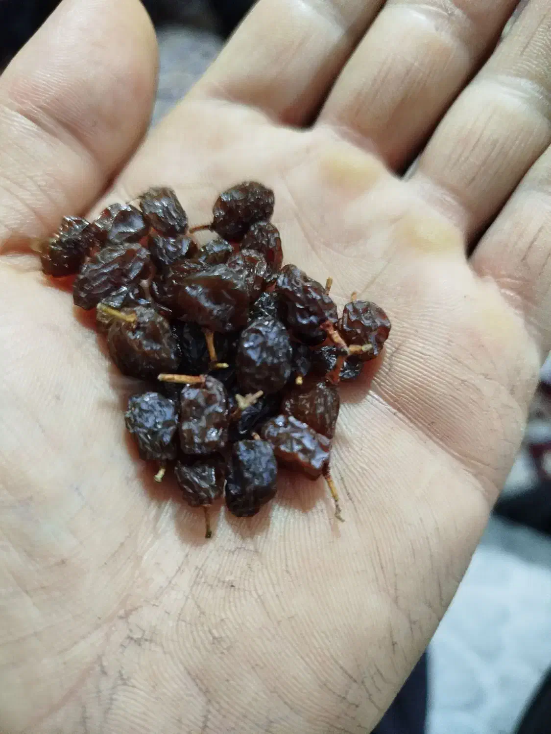 کشمش درجه یک آفتابی|خوردنی و آشامیدنی|قزوین, |دیوار
