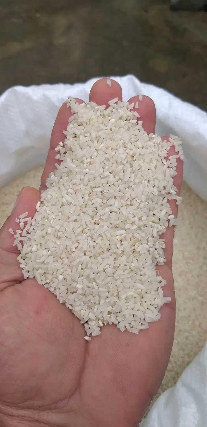 برنج هاشمی|خوردنی و آشامیدنی|سلمانشهر, |دیوار