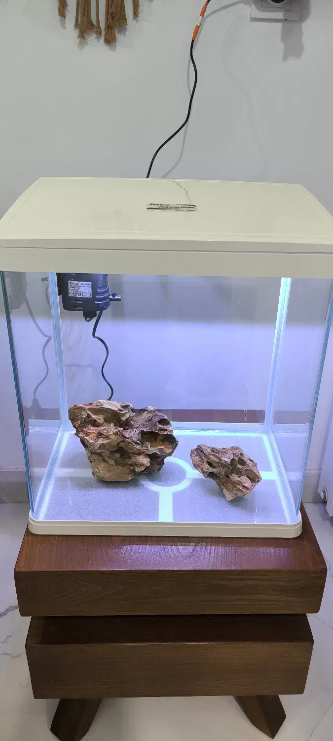 آکواریوم دلسا مدل k390|ماهی|کرج, ساسانی (قلمستان)|دیوار