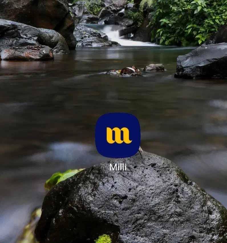 میلی|کارت هدیه و تخفیف|نائین, |دیوار