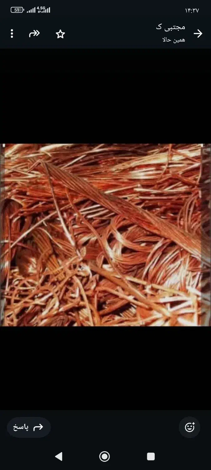 ضایعات رنگی|خدمات پیشه و مهارت|خورموج, |دیوار