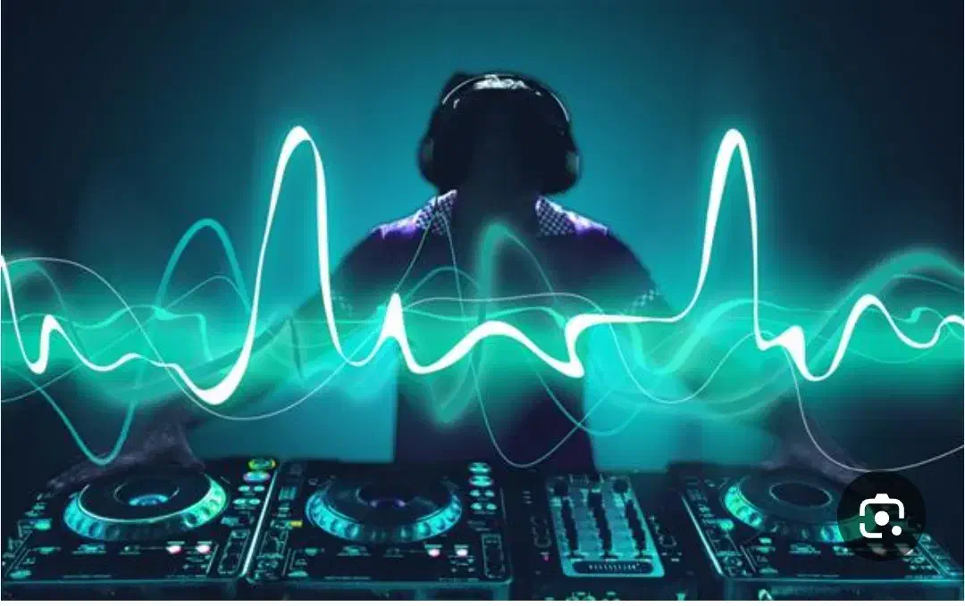 دیجی سعید|خدمات پذیرایی، مراسم|نمین, |دیوار