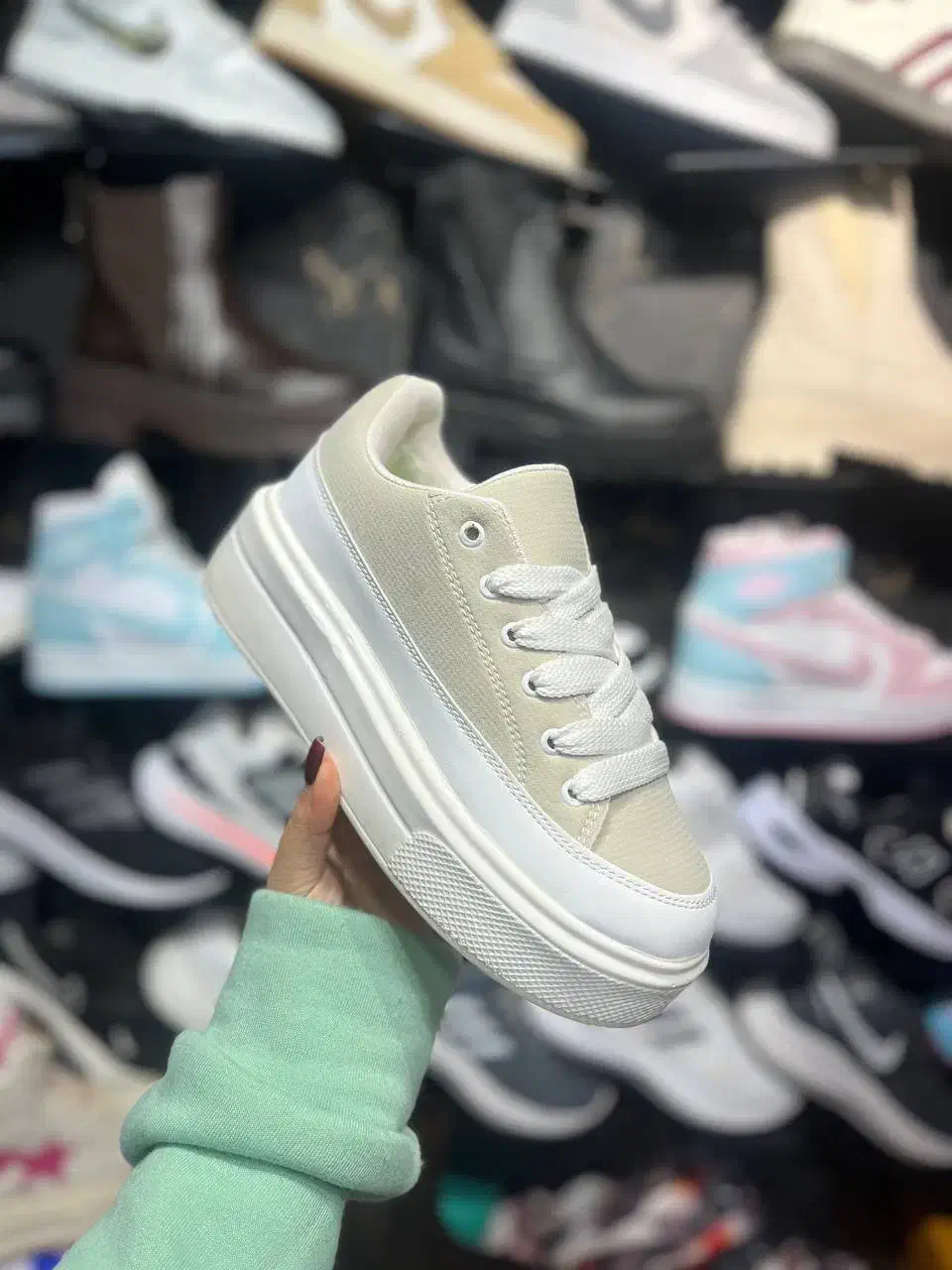 کفش|کیف، کفش، کمربند|مرند, |دیوار