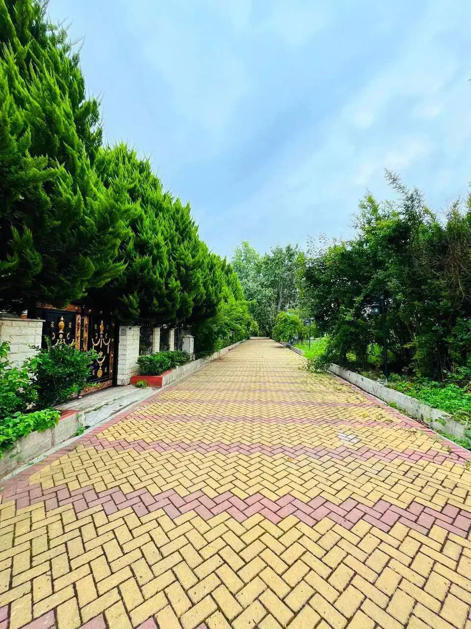 زمین۲۵۰متری شهرکی/سنددار/انشعابات پای ملک|فروش زمین و ملک کلنگی|امامزاده عبدالله, |دیوار