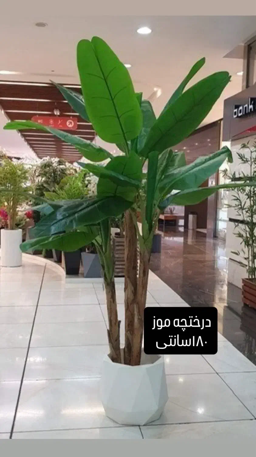 درختچه موز ۳شاخه مصنوعی|گل مصنوعی|ملایر, |دیوار