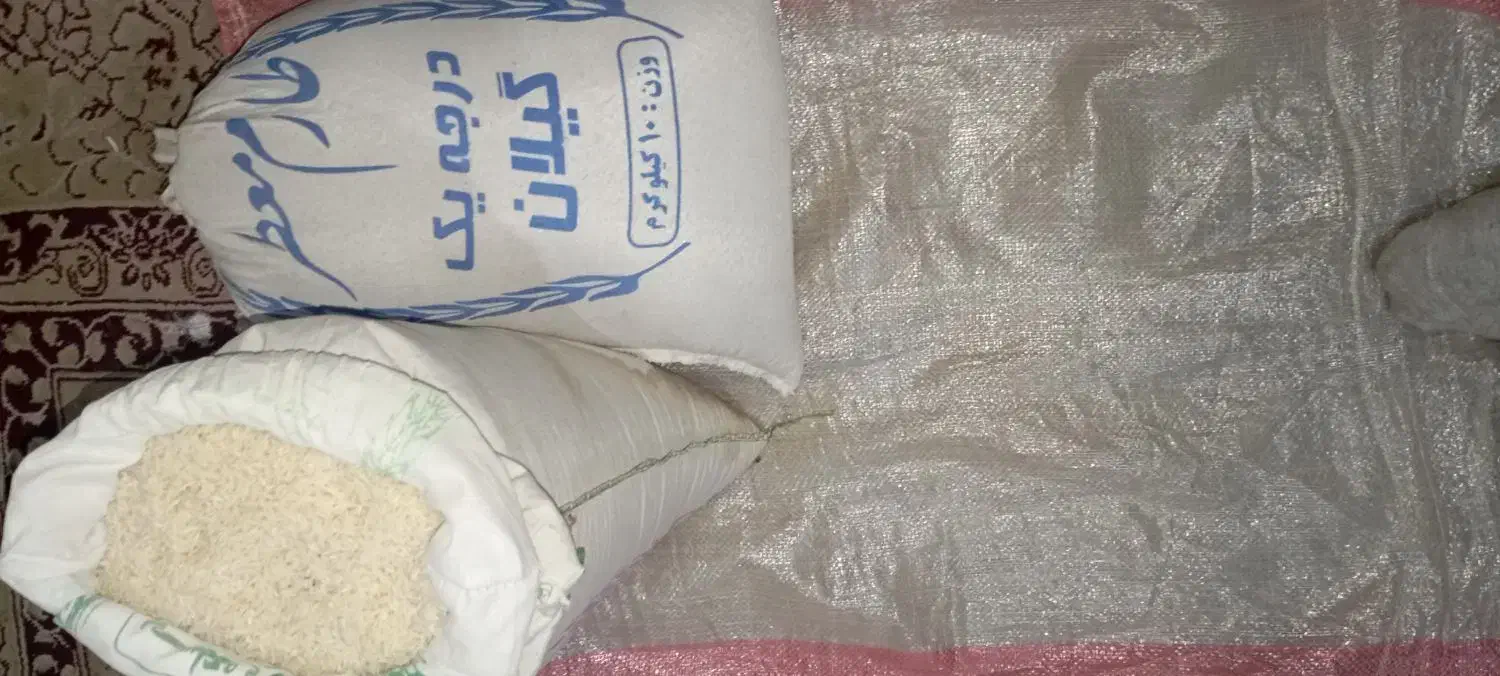 برنج گیلان|خوردنی و آشامیدنی|قم, ولیعصر|دیوار