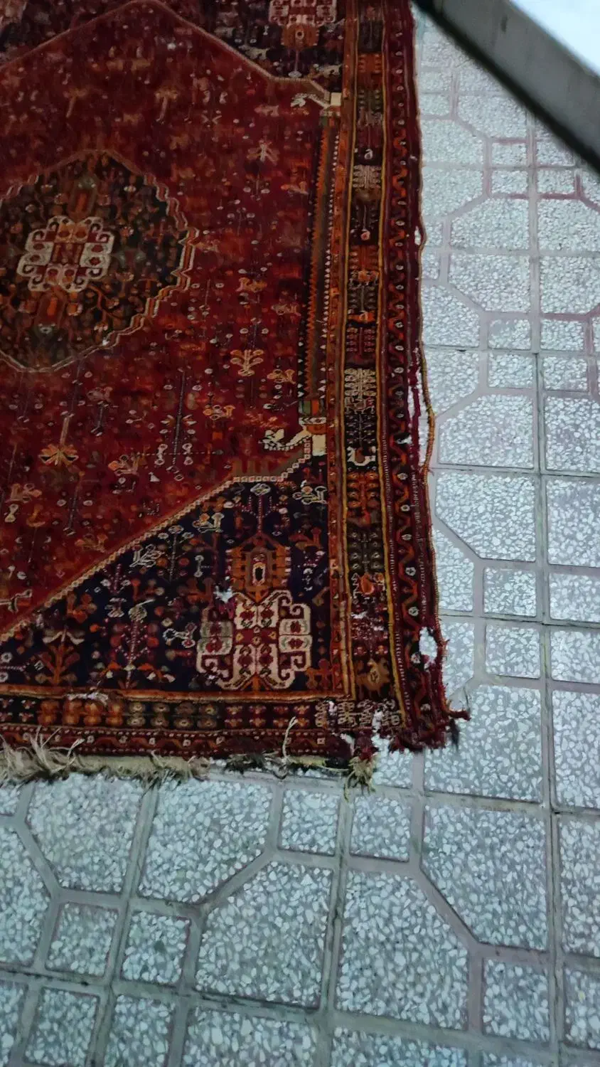 فرش دستباف با قدمت ۵۰ سال که بید زدگی داره|فرش|شیراز, تحویلی|دیوار