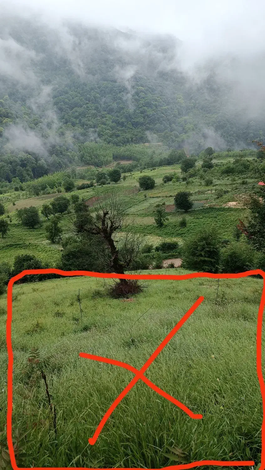 خونه باغ گردو ۱۰۰۰متری|فروش زمین و ملک کلنگی|فریم, |دیوار