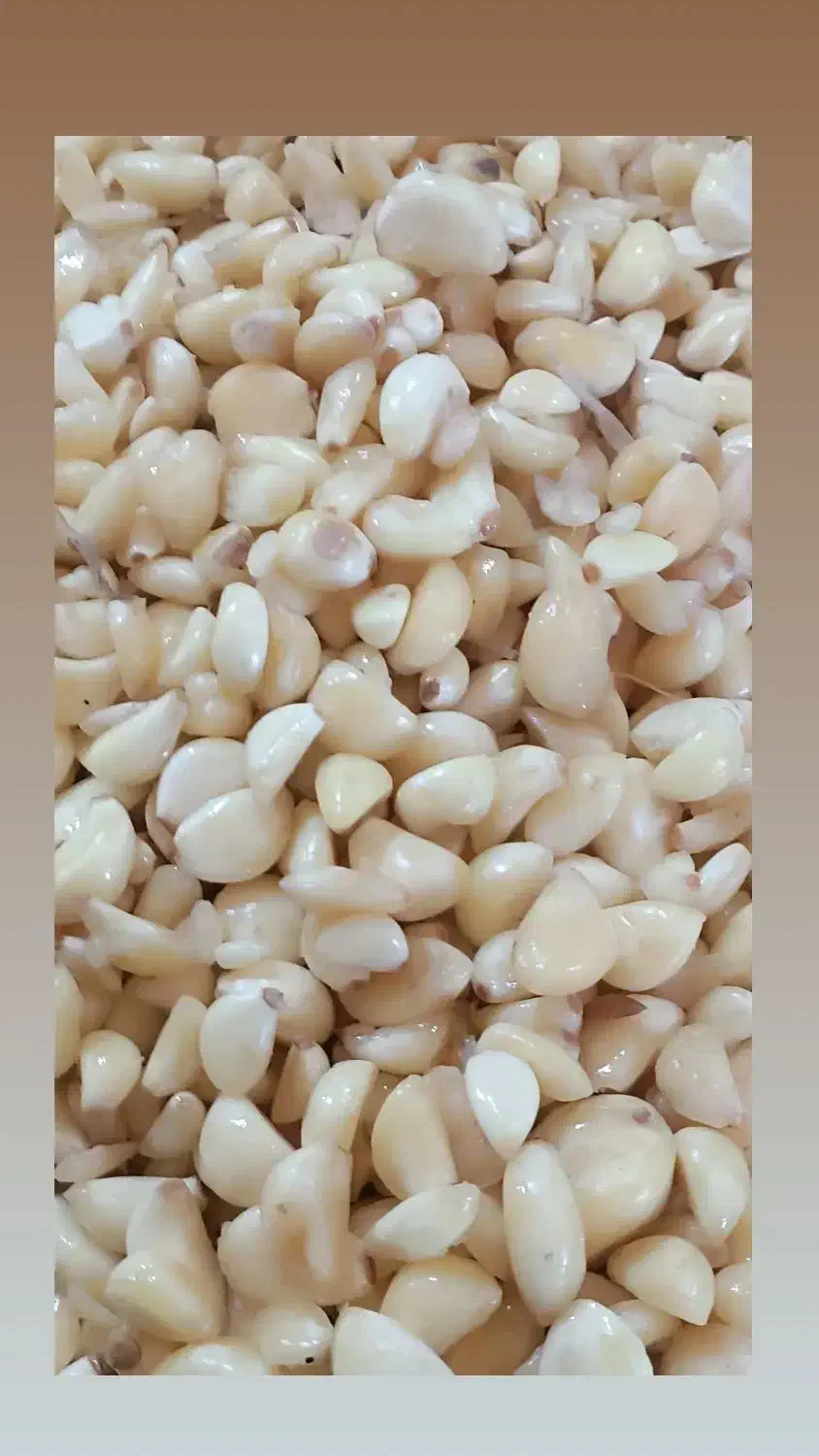 سیرشور|استخدام صنعتی، فنی، مهندسی|بهار, |دیوار