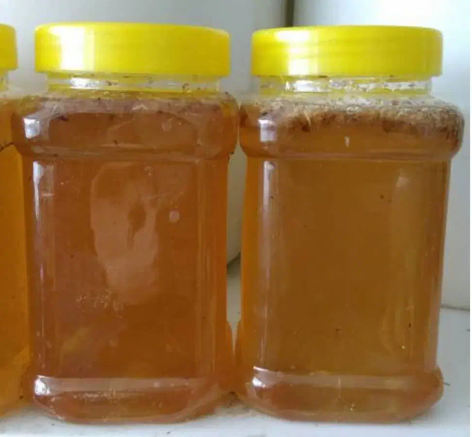 عسل صددرصد طبیعی وخالص درمانی کوهی وکوهستان به شرط|خوردنی و آشامیدنی|کن, |دیوار