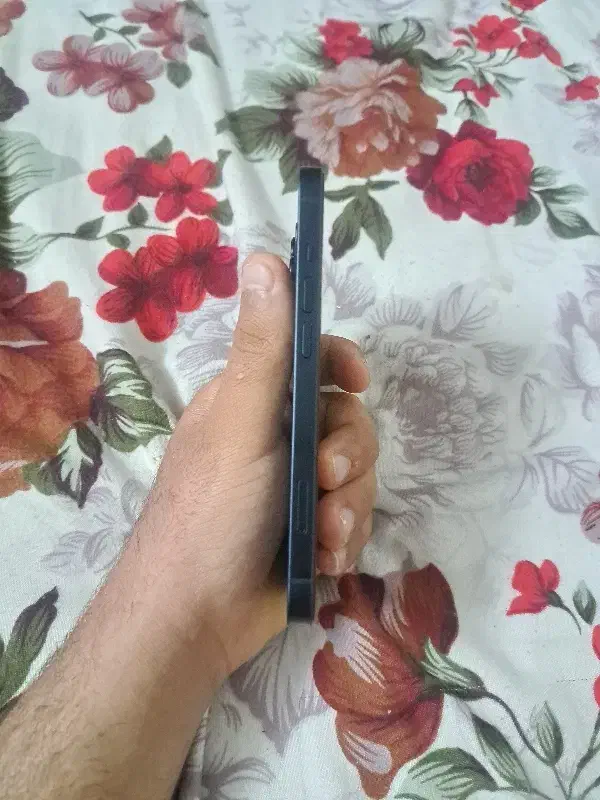 iphone 13 256|موبایل|اهواز, کوی طلاب|دیوار