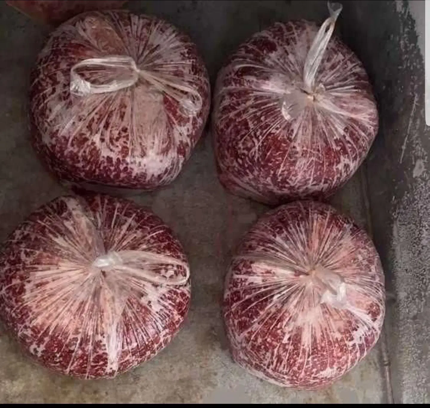 مایه کوبیده. مایه کباب .گوشت چرخورده|خوردنی و آشامیدنی|تهران, یافت آباد جنوبی|دیوار