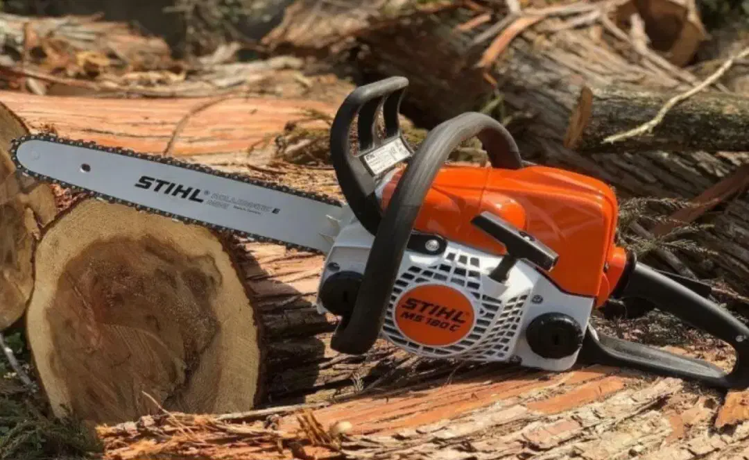 خریددرختخریدارچوببرشانواعدرختانمانعهرس|خدمات باغبانی و درختکاری|تبریز, |دیوار