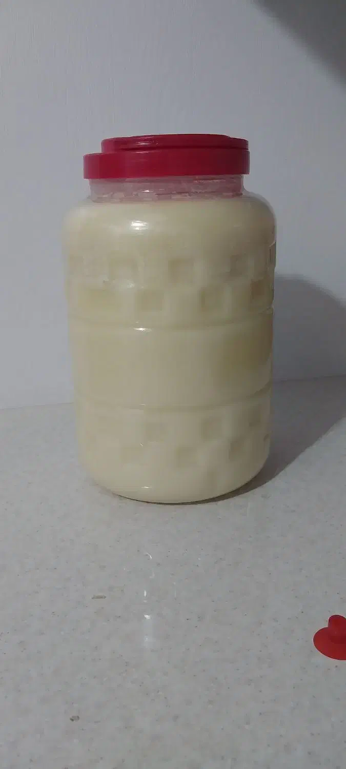 روغن گوسفند|خوردنی و آشامیدنی|مهریز, |دیوار