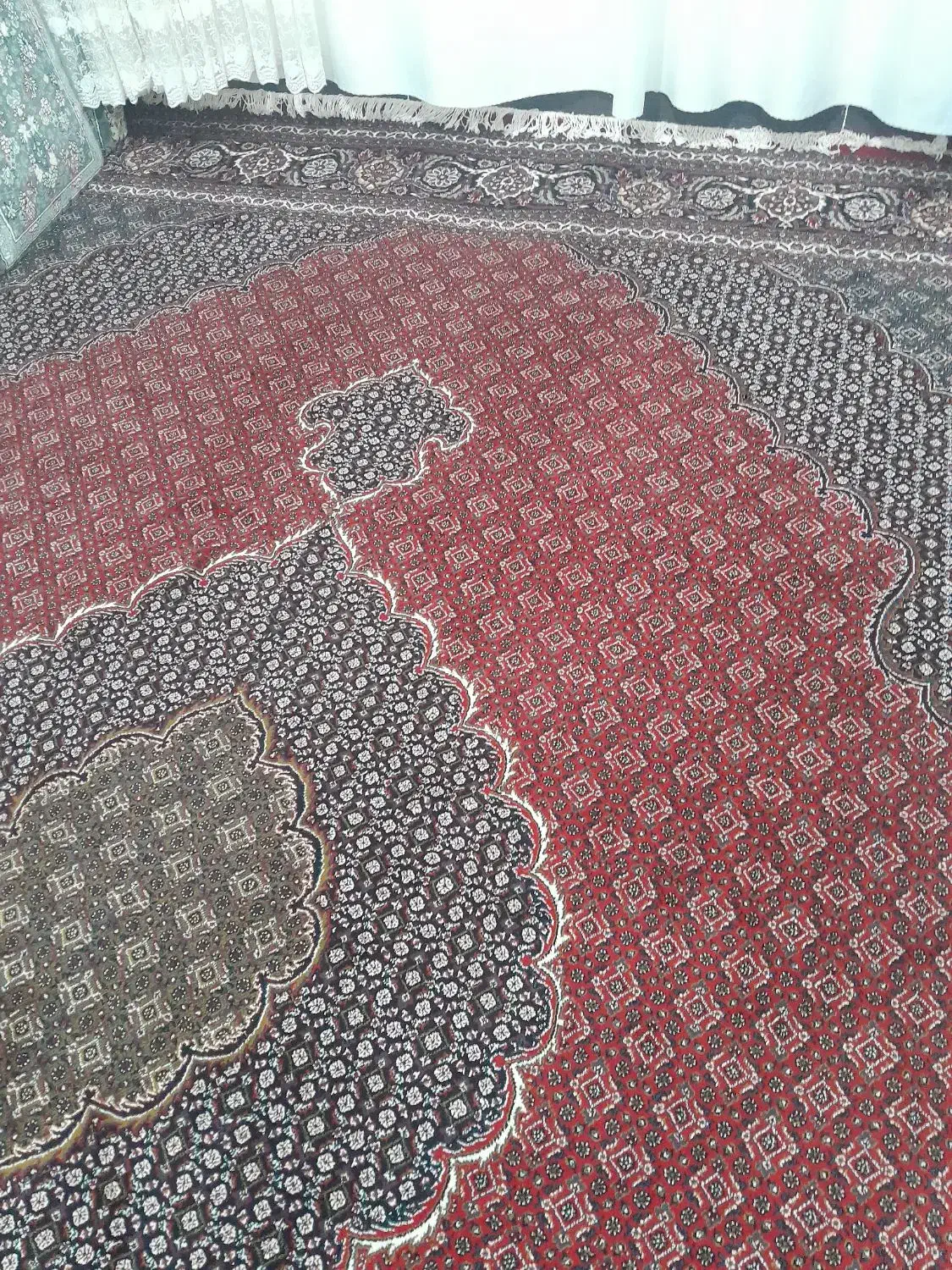 قالی ۱۲ متری ریز ماهی|فرش|کرمانشاه, |دیوار