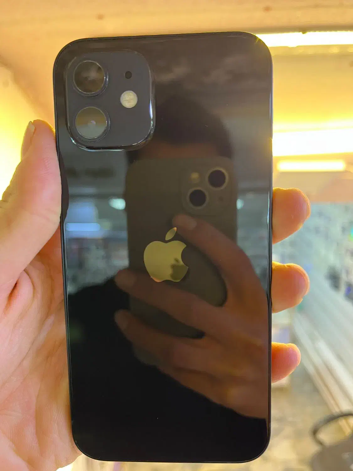 iphone 12|موبایل|مشهد, فدک|دیوار