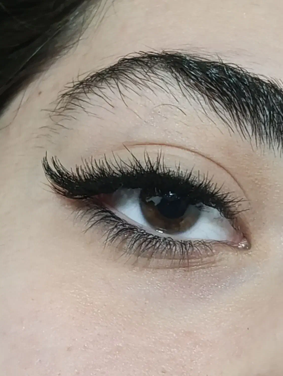 مدل کاشت مژه|خدمات آرایشگری و زیبایی|سنندج, |دیوار