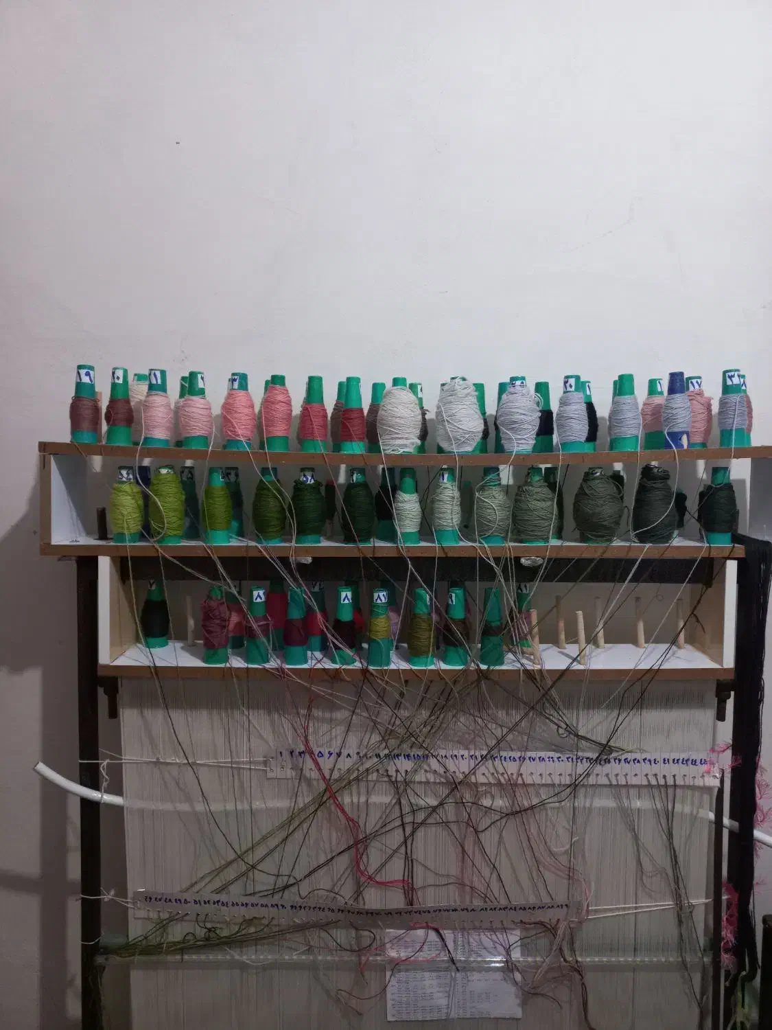 تابلو فرش|تابلو فرش|بندر انزلی, لیچارگی حسن رود|دیوار