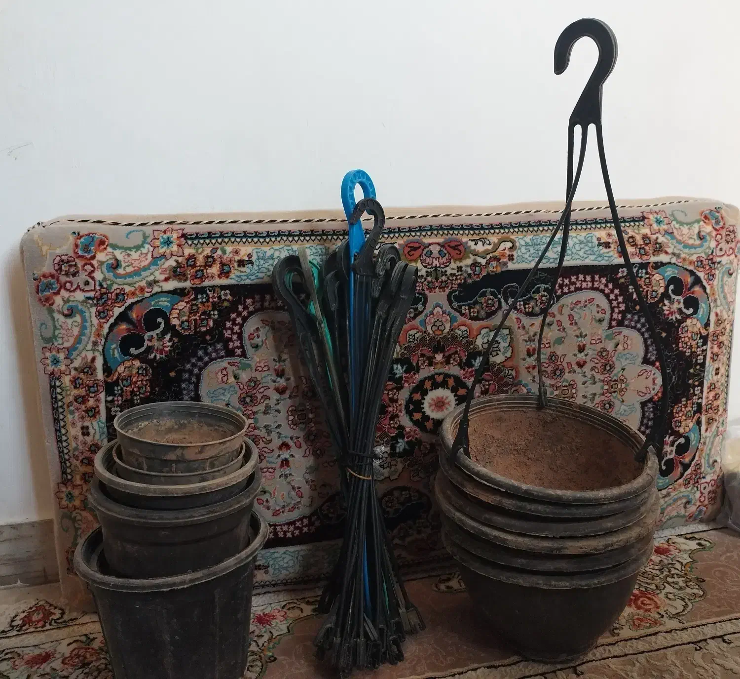 گلدان و آویزش|گل و گیاه طبیعی|قم, پردیسان|دیوار