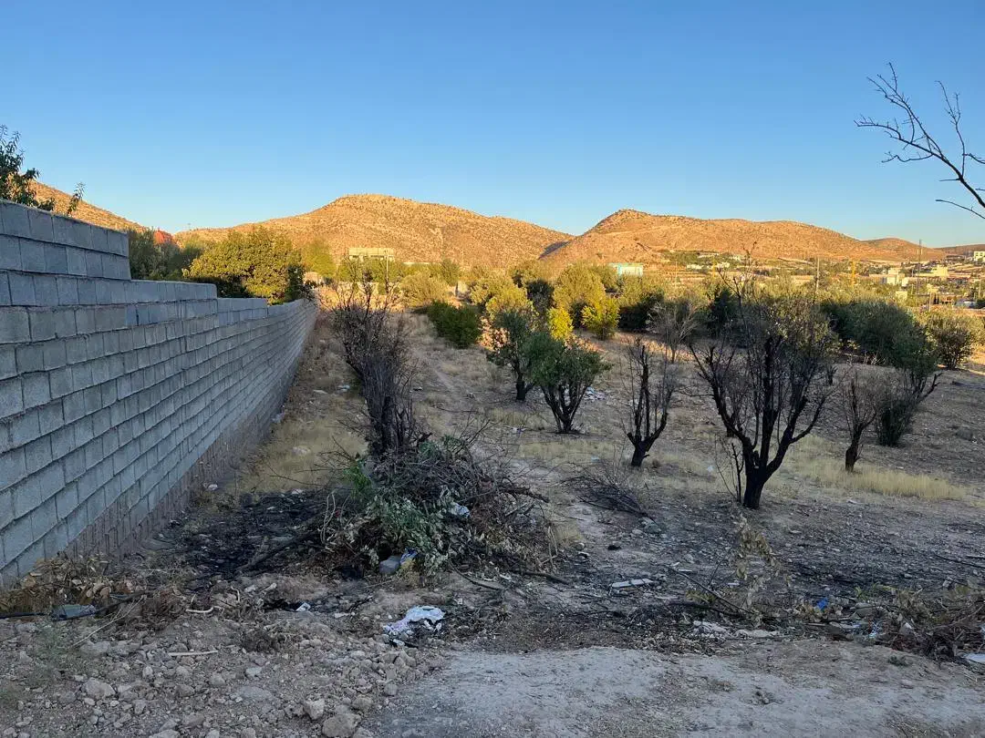 مجموعه قصر سبز زیر نظر جهاد سازندگی|فروش زمین و ملک کلنگی|شیراز, شهرک قمشه|دیوار
